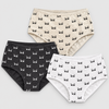 Women’s Cotton-Blend Raccoon Print Briefs YW4133-3 Pieces
